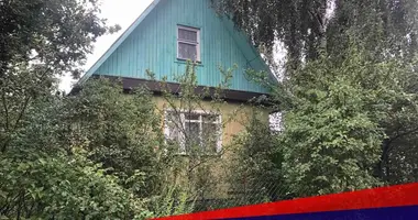 Дом в Беларучский сельский Совет, Беларусь