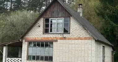 House in Rudzienski sielski Saviet, Belarus