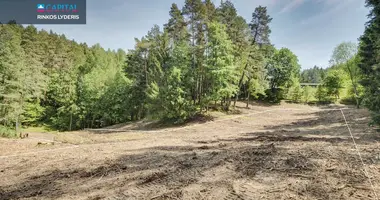 Terrain dans Vilnius, Lituanie