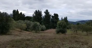 Terrain dans Paliouri, Grèce
