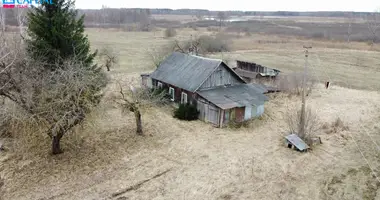 House in Vidugiris, Lithuania
