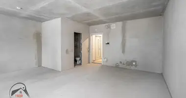 1 room apartment in Kopishche, Belarus