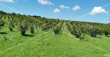 Investition in Opcina Koncanica, Kroatien