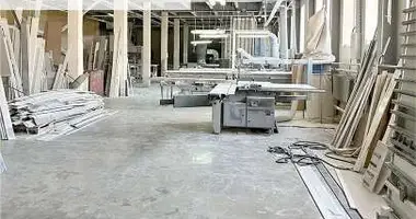 Warehouse 30 000 m² in Kraskovo, Russia