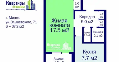 1 room apartment in Minsk, Belarus