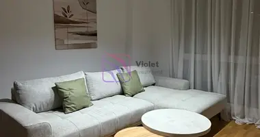 1 bedroom apartment in Podgorica, Montenegro