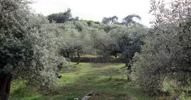 Участок земли в Thassos Municipality, Греция