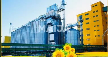 Manufacture 46 553 m² in Vaslui, Romania