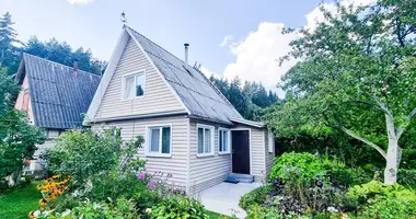 House in Miasocki sielski Saviet, Belarus