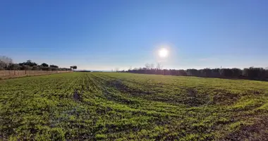Działka w Thermaikos Municipality, Grecja