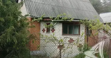 Дом в Чернавчицкий сельский Совет, Беларусь