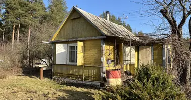 Dom w Kapciouski sielski Saviet, Białoruś