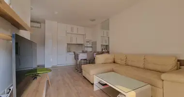 Wohnung 1 Schlafzimmer in Rafailovici, Montenegro