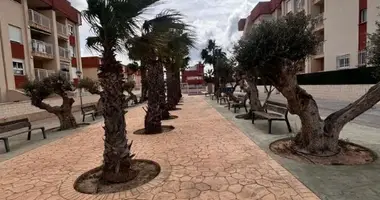 Penthouse 1 chambre dans Orihuela, Espagne