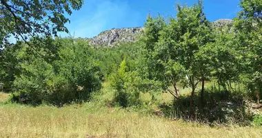 Plot of land in Zabljak, Montenegro
