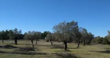 Plot of land in Kornos, Cyprus