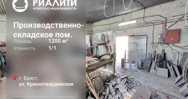 Manufacture 20 m² in Brest, Belarus