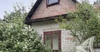 Haus in Matykalski sielski Saviet, Belarus