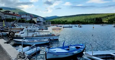 Propriété commerciale dans Monténégro