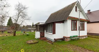 Haus in Rubiazevicki sielski Saviet, Belarus