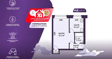 1 room apartment in Minsk, Belarus