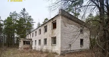 Commercial property 622 m² in Pleshchanitsy, Belarus