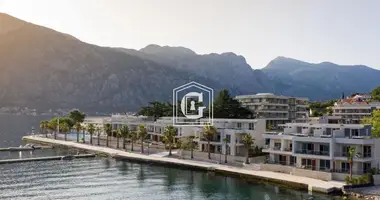 Mieszkanie 1 pokój w Kotor, Czarnogóra