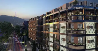 3 bedroom apartment in Tbilisi, Georgia