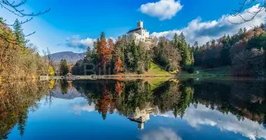 Dom 9 pokojów w Opcina Bednja, Chorwacja