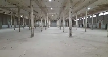 Склад 7 000 м² в Павловский Посад, Россия