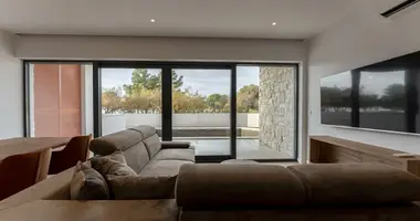 3 room apartment in Opcina Dezanovac, Croatia