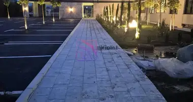 1 bedroom apartment in 115, Montenegro