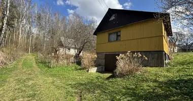 Haus in Krasnienski sielski Saviet, Belarus
