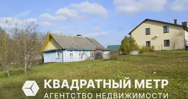 House in Haranski sielski Saviet, Belarus