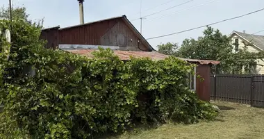 House in Barauski sielski Saviet, Belarus
