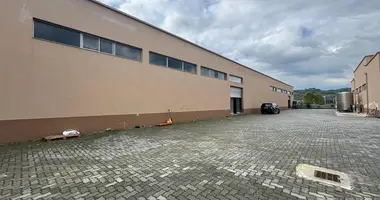 Sala de conferencias 1 057 m² en Berxulli, Albania