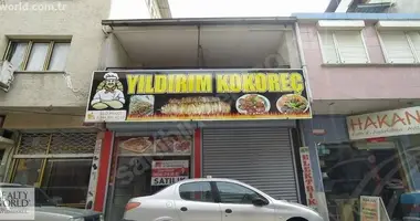 Geschäft 194 m² in Sinirteke, Türkei