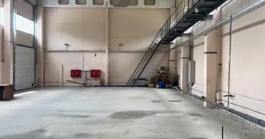 Manufacture 387 m² in Vetka, Belarus