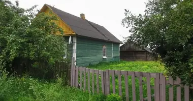 Dom w Uzdzienski sielski Saviet, Białoruś