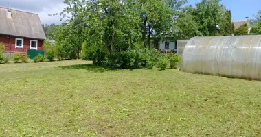 Plot of land in Rakauski sielski Saviet, Belarus