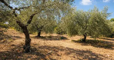 Terrain dans Neos Marmaras, Grèce