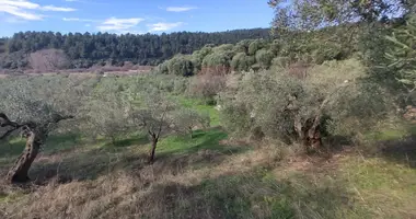 Grundstück in Gemeinde Sithonia, Griechenland