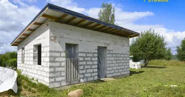 Haus in Akalova, Belarus