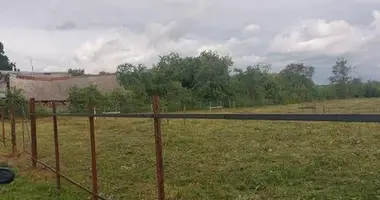 Участок земли в Бабиничский сельский Совет, Беларусь