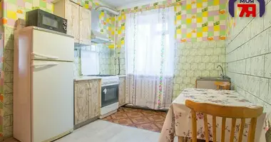 Cottage in Maladzyechna District, Belarus