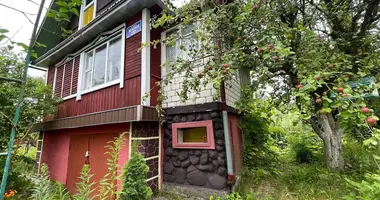 House in Piatryskauski sielski Saviet, Belarus