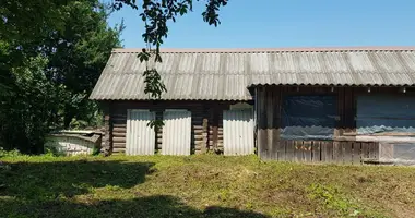Дом в Пережирский сельский Совет, Беларусь
