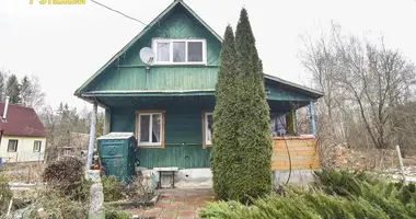 Haus in Rakauski sielski Saviet, Belarus