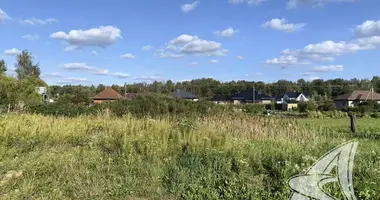 Grundstück in Znamienski sielski Saviet, Belarus