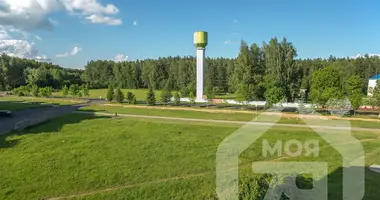 2 room apartment in Narach, Belarus